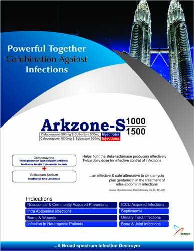 ARKZONE-S 1000 INJECTION