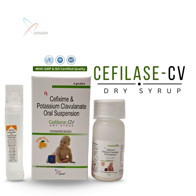 CEFILASE-CV DRY SYP