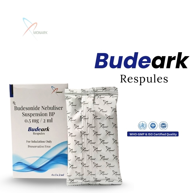 BUDEARK RESEPULE