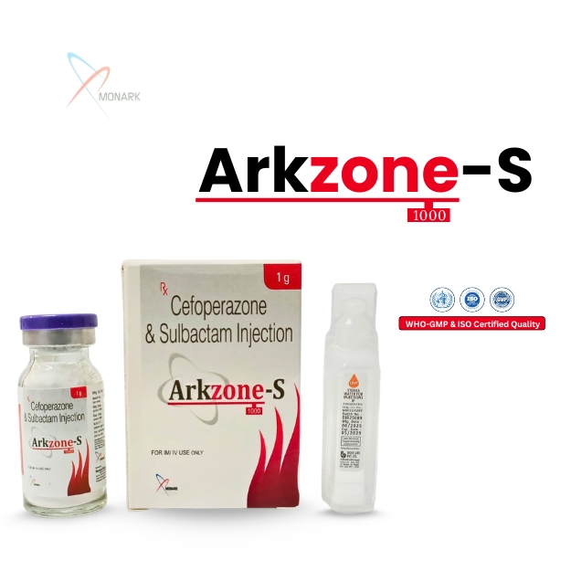 ARKZONE-S 1000 INJECTION