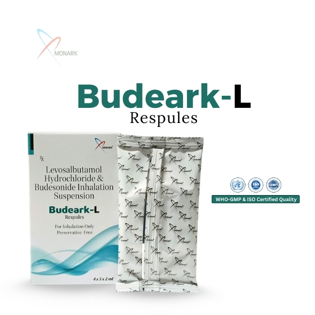 BUDEARK-L RESEPULE