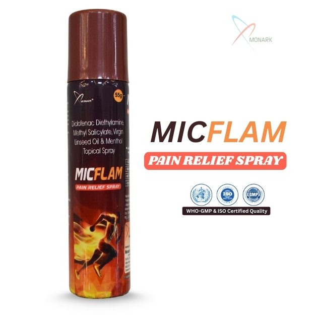 MICFLAM SPRAY