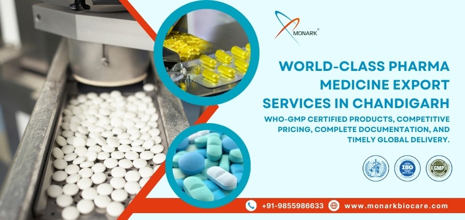 Pharma Medicine Export in Chandigarh